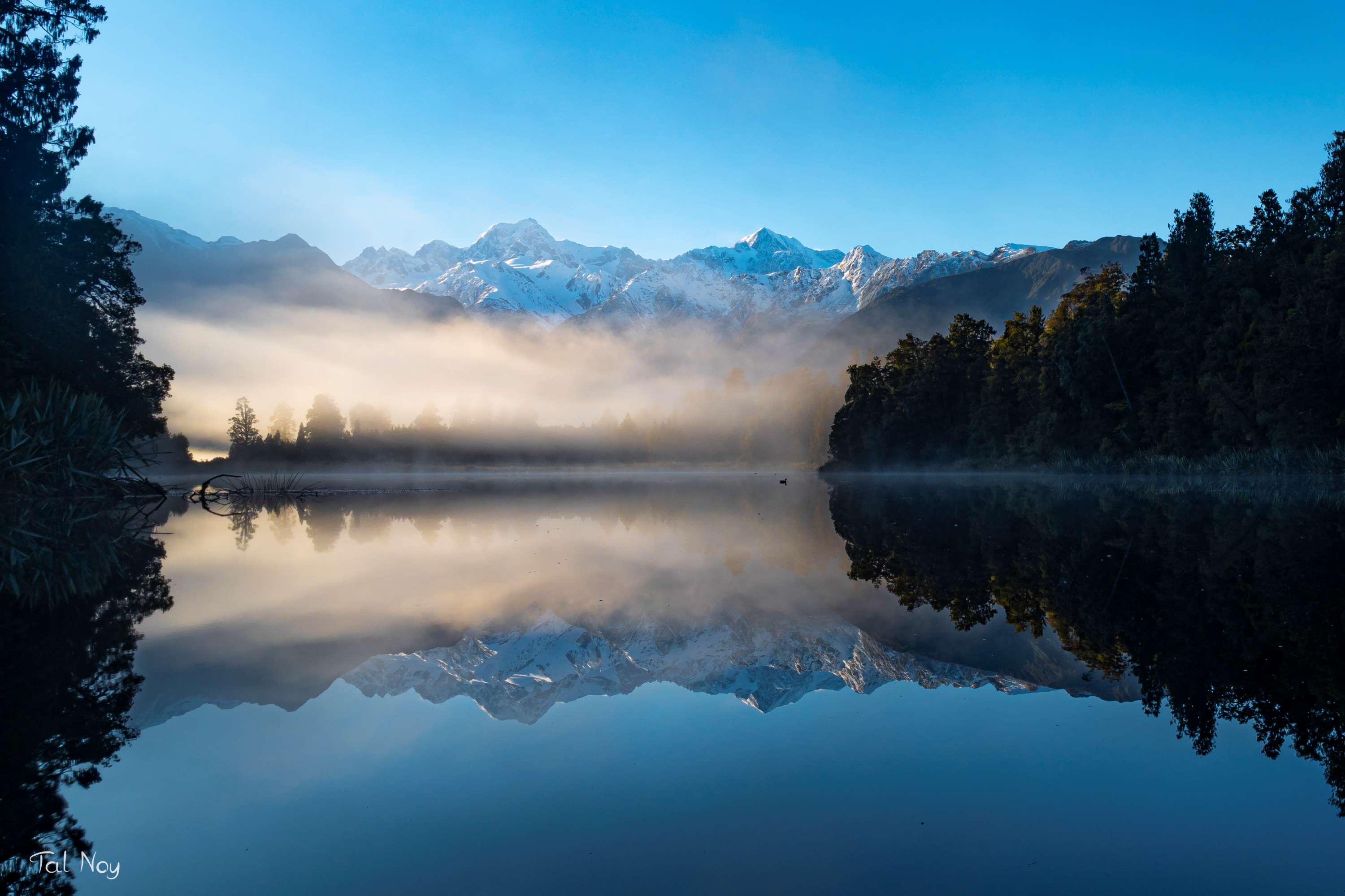 Early morning mirror reflection at Lake Matheson, New Zealand with golden orange light cutting through the trees